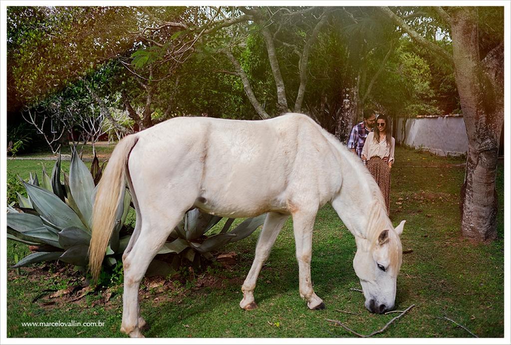 Pousada Fazendinha Buzios ภายนอก รูปภาพ
